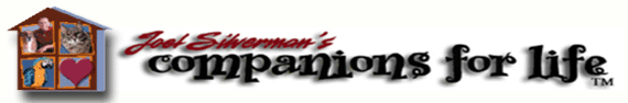 Official Joel Silverman's COMPANIONS FOR LIFE Website